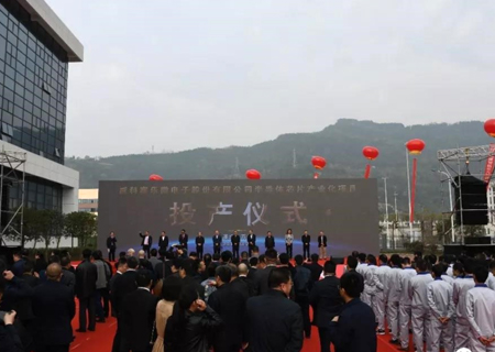 威科賽樂微電子股份有限公司半導(dǎo)體芯片產(chǎn)業(yè)化項目投產(chǎn)儀式